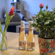 Ferienwohnungen-20250315-002-Web