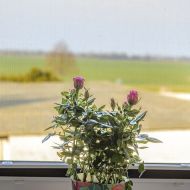 Ferienwohnungen-20250315-016-Web