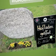 IMG_20240530_100249_039