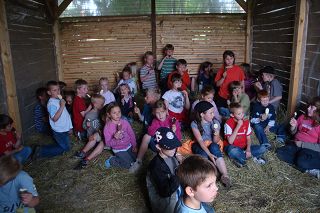 Der Röhlsche Hof - Bildungs- und Erlebnisbauernhof in Wallwitz in Sachsen-Anhalt - Kindertage 5