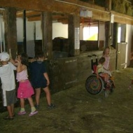 Der Röhlsche Hof - Bildungs- und Erlebnisbauernhof in Wallwitz in Sachsen-Anhalt - Kindertage 15