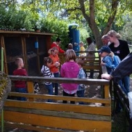 Der Röhlsche Hof - Bildungs- und Erlebnisbauernhof in Wallwitz in Sachsen-Anhalt - Kindertage 16