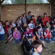 Der Röhlsche Hof - Bildungs- und Erlebnisbauernhof in Wallwitz in Sachsen-Anhalt - Kindertage 5