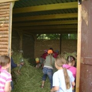 Der Röhlsche Hof - Bildungs- und Erlebnisbauernhof in Wallwitz in Sachsen-Anhalt - Kindertage 7