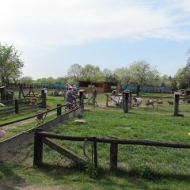 Der Röhlsche Hof - Bildungs- und Erlebnisbauernhof in Wallwitz in Sachsen-Anhalt - Spiel- und Spaßnachmittag 2013-10