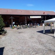 Der Röhlsche Hof - Bildungs- und Erlebnisbauernhof in Wallwitz in Sachsen-Anhalt - Spiel- und Spaßnachmittag 2019 4