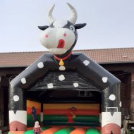 Der Röhlsche Hof - Bildungs- und Erlebnisbauernhof in Wallwitz in Sachsen-Anhalt - Spiel- und Spaßnachmittag 2019 Hüpfburg