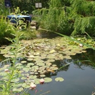 Der Röhlsche Hof - Bildungs- und Erlebnisbauernhof in Wallwitz in Sachsen-Anhalt - Gelaende