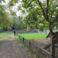 Der Röhlsche Hof - Bildungs- und Erlebnisbauernhof in Wallwitz in Sachsen-Anhalt - Gelaende 3