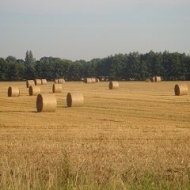 Der Röhlsche Hof - Bildungs- und Erlebnisbauernhof in Wallwitz in Sachsen-Anhalt - Heuballen