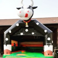 IMG_20230213_161601_042